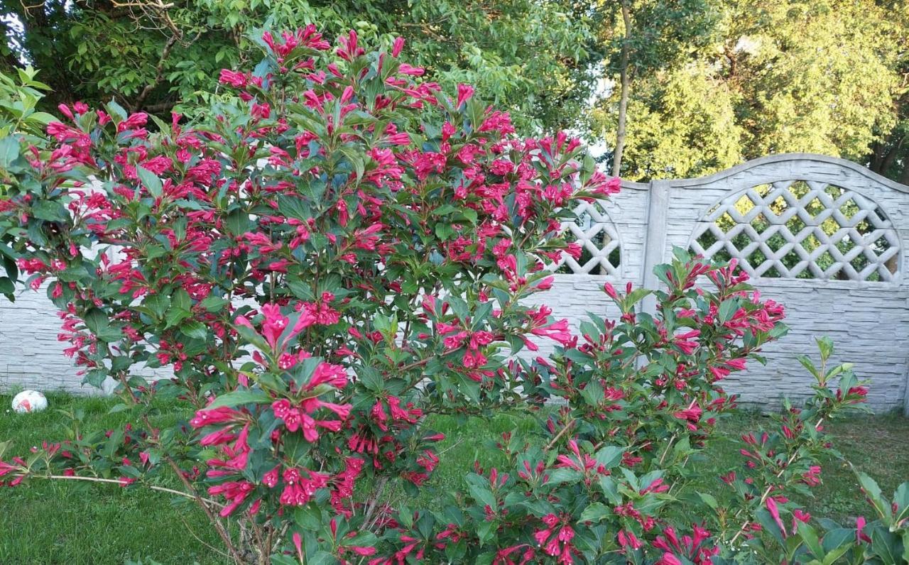 Magnolia Gospodarstwo Agroturystyczne Kazimierz Dolny Exterior foto