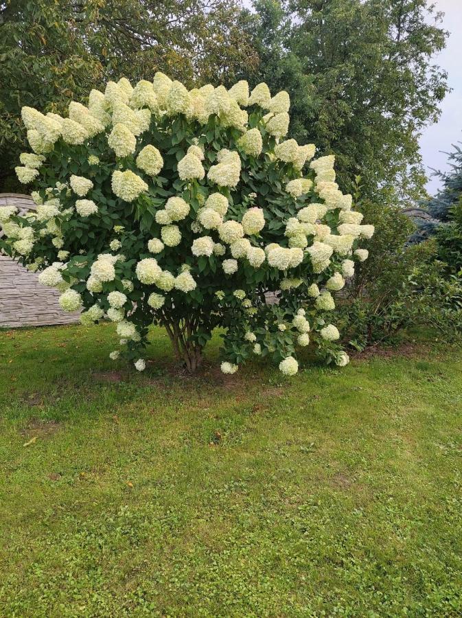 Magnolia Gospodarstwo Agroturystyczne Kazimierz Dolny Exterior foto